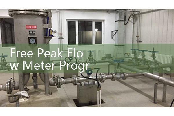 Free Peak Flow Meter Programs: Finding Community Asthma Healthcare Resources and Log Charts